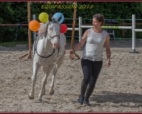 1-13JUIN 1211